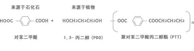 SOLOTEX®的构成图