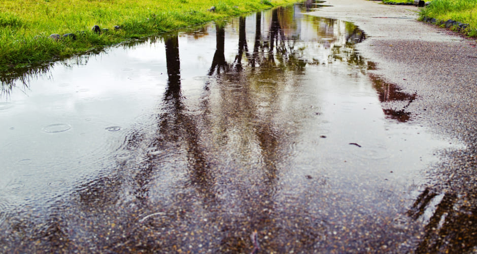 小雨と水たまり