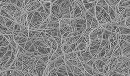 Electron microscope photo:Wool material 