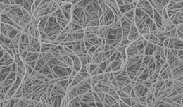 Electron microscope photo:Wool material 