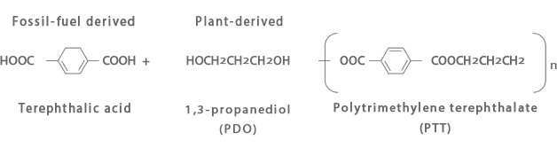 Structural Diagram of SOLOTEX®