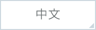 中文